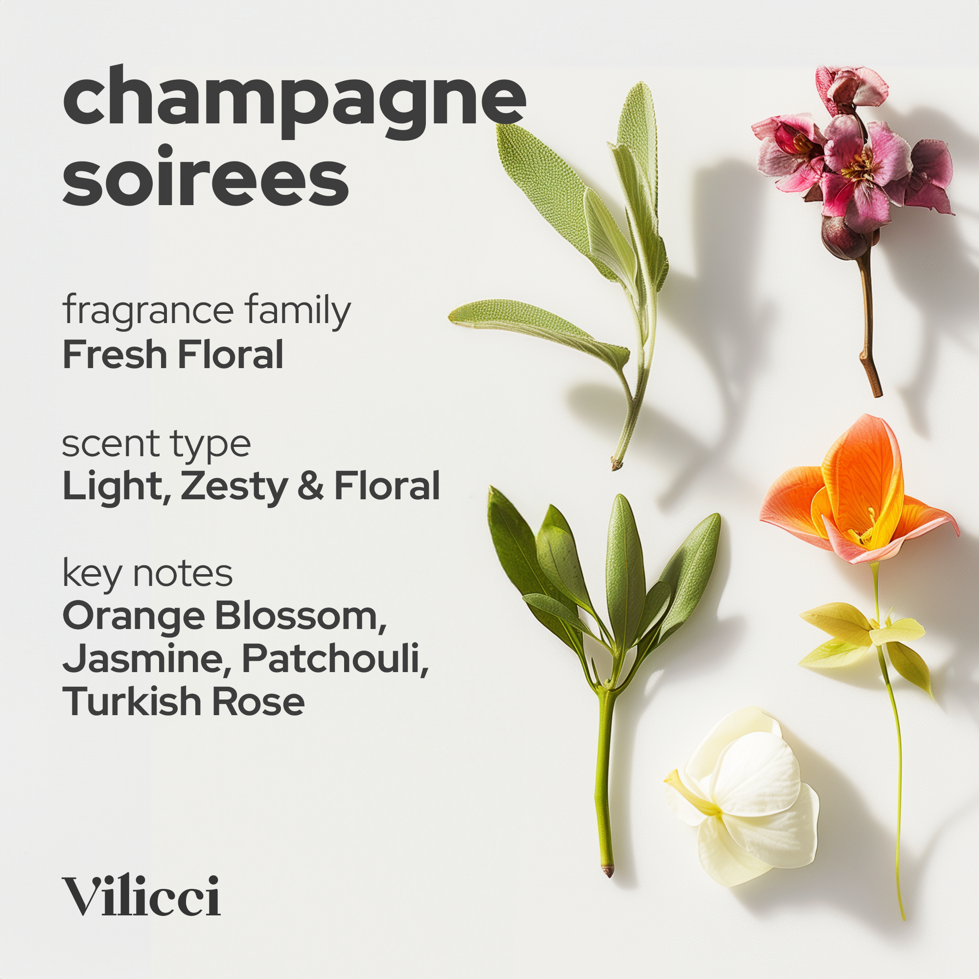 Champagne Soirees